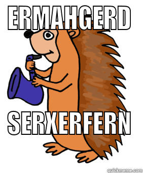 ERMAHGERD SERXERFERN  Misc