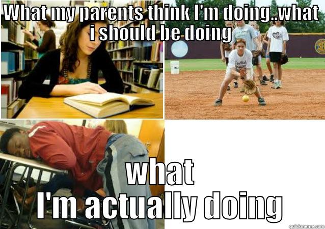  haha stereotype - WHAT MY PARENTS THINK I'M DOING..WHAT I SHOULD BE DOING WHAT I'M ACTUALLY DOING Misc