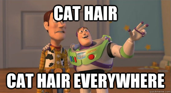 Cat hair Cat hair everywhere  Toy Story Everywhere