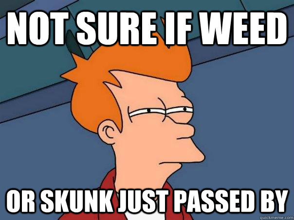 Not sure if weed Or skunk just passed by  Futurama Fry