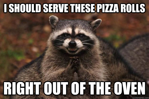 I should serve these pizza rolls Right out of the oven - I should serve these pizza rolls Right out of the oven  Evil Plotting Raccoon