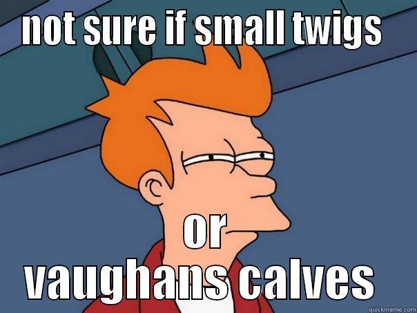 vaughans leg - NOT SURE IF SMALL TWIGS  OR VAUGHANS CALVES  Futurama Fry