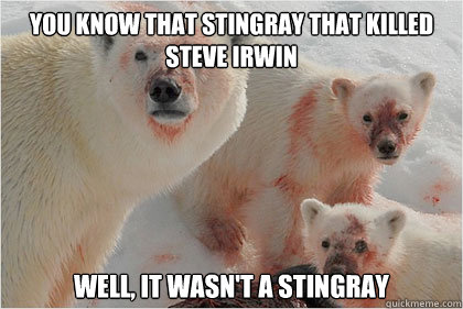 you know that stingray that killed steve irwin well, it wasn't a stingray - you know that stingray that killed steve irwin well, it wasn't a stingray  Bad News Bears