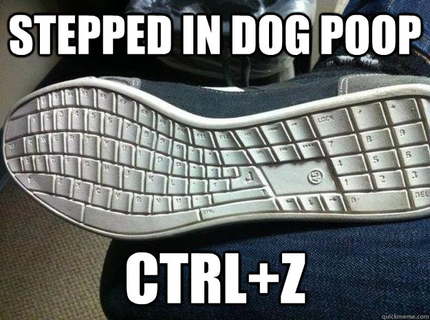 Stepped in dog Poop CTRL+Z - Stepped in dog Poop CTRL+Z  Undo dog poop