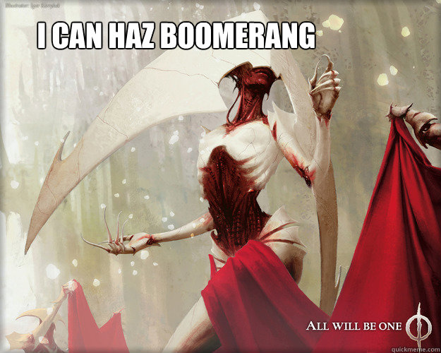 i can haz boomerang - i can haz boomerang  Elesh Norn