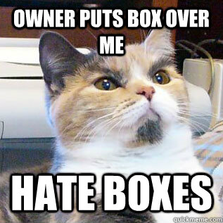 Owner puts box over me hate boxes  