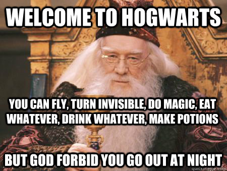 Welcome to Hogwarts You can fly, turn invisible, do magic, eat whatever, drink whatever, make potions But god forbid you go out at night  Drew Dumbledore