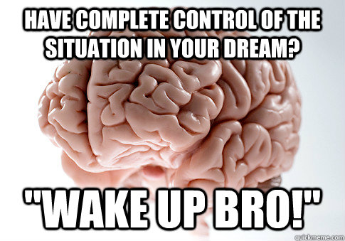 HAVE COMPLETE CONTROL OF THE SITUATION IN YOUR DREAM? 