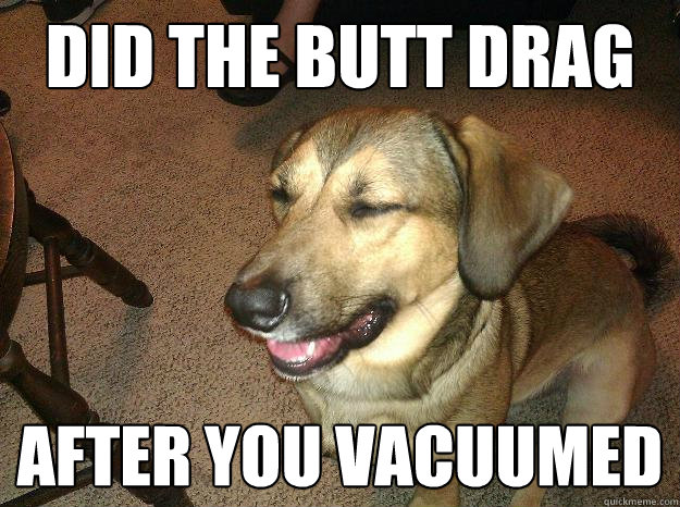 Did the butt drag after you vacuumed - Did the butt drag after you vacuumed  Misc