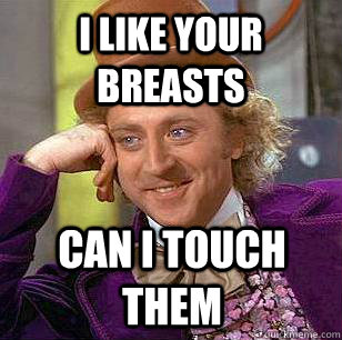 I like your breasts can i touch them - I like your breasts can i touch them  Condescending Wonka