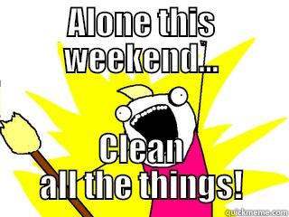 ALONE THIS WEEKEND... CLEAN ALL THE THINGS! All The Things