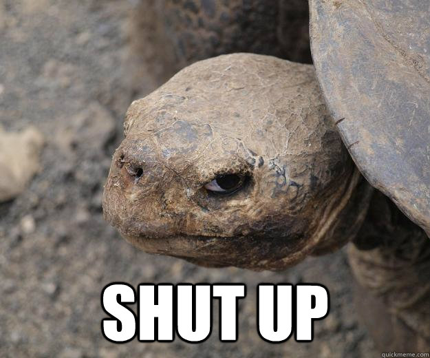 SHUT UP - SHUT UP  Evil Eye Turtle