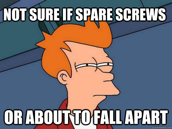 Not sure if spare screws or about to fall apart  Futurama Fry