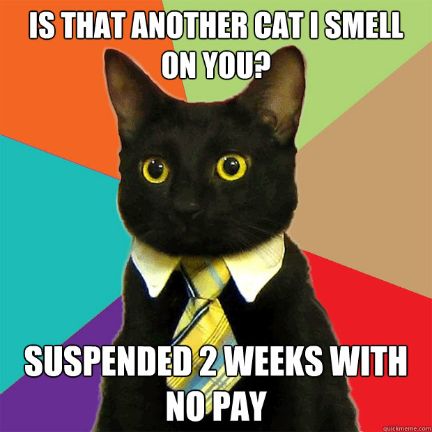 Is that another cat I smell on you? Suspended 2 weeks with no pay  Business Cat