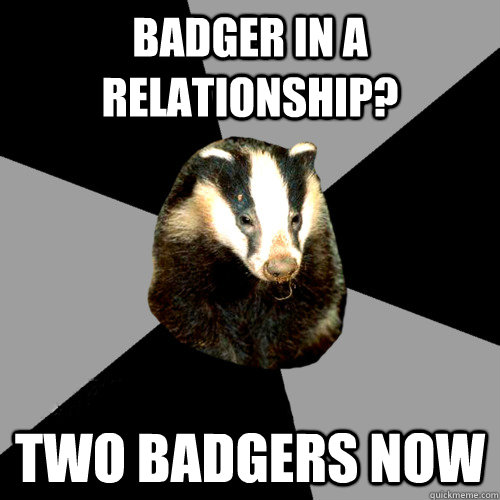 Badger in a relationship? TWO BADGERS NOW - Badger in a relationship? TWO BADGERS NOW  Backstage Badger