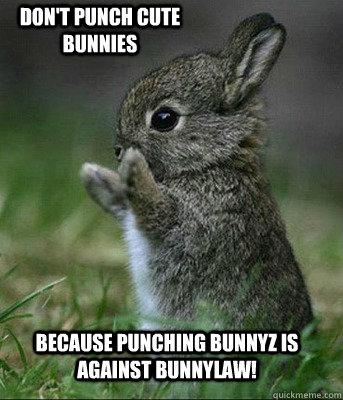 Because punching bunnyz is against BunnyLaw! Don't Punch Cute Bunnies  