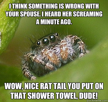 I think something is wrong with your spouse. I heard her screaming a minute ago. Wow, nice rat tail you put on that shower towel, dude!  Misunderstood Spider