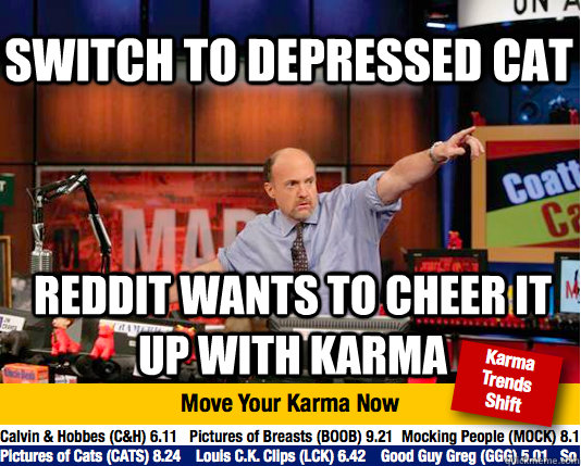 Switch to depressed cat reddit wants to cheer it up with karma  Mad Karma with Jim Cramer