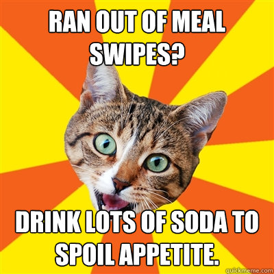 Ran out of meal swipes? Drink lots of soda to spoil appetite.   Bad Advice Cat