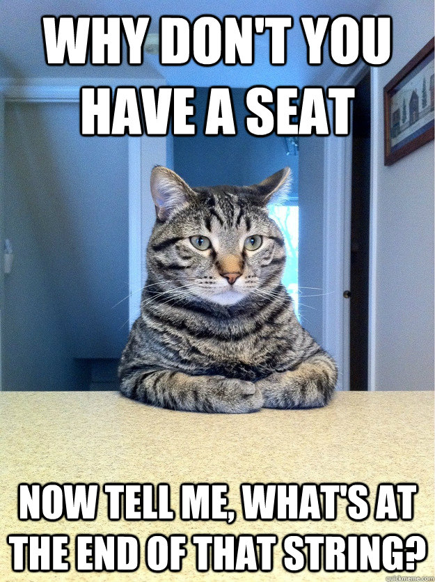 Why don't you have a seat Now tell me, what's at the end of that string? - Why don't you have a seat Now tell me, what's at the end of that string?  Chris Hansen Cat