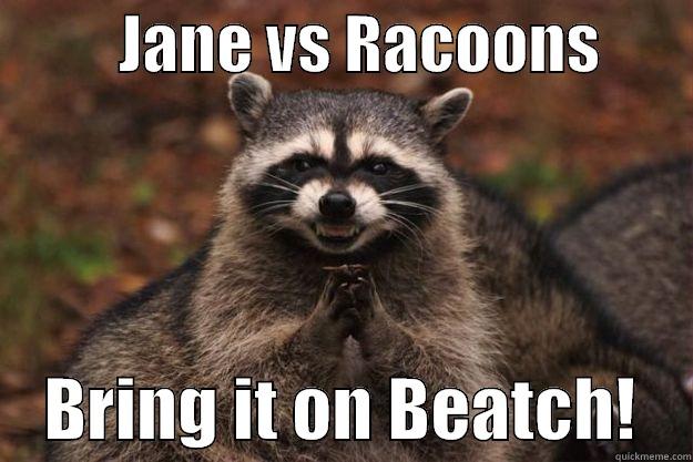 Jane vs the Racoons -          JANE VS RACOONS            BRING IT ON BEATCH!    Evil Plotting Raccoon