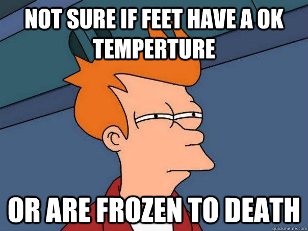 Not sure if feet have a ok temperture or are frozen to death - Not sure if feet have a ok temperture or are frozen to death  Futurama Fry