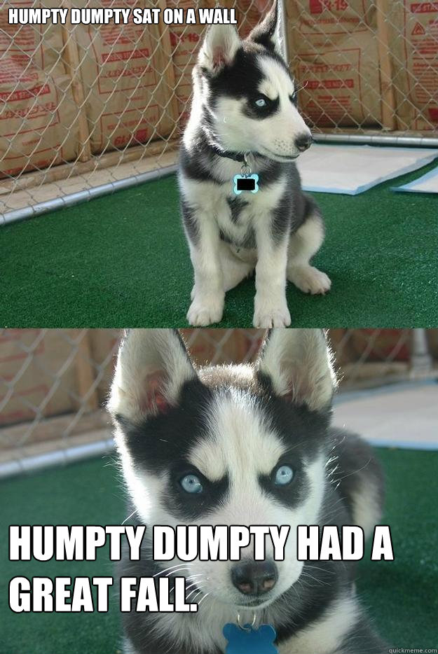 Humpty Dumpty sat on a wall Humpty Dumpty had a great fall.  Insanity puppy