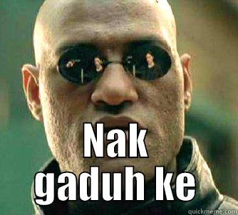 cari pasal -  NAK GADUH KE Matrix Morpheus