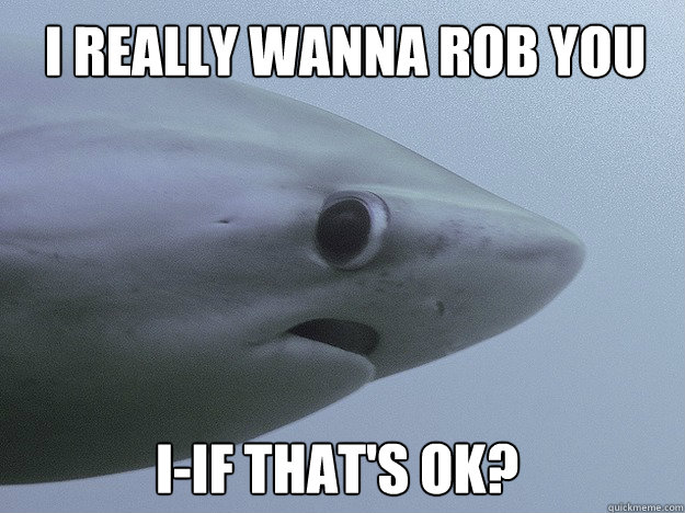 I REALLY WANNA ROB YOU I-IF THAT'S OK?  Shy Shark