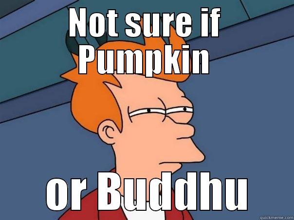 Pumpkin or Buddhu? - NOT SURE IF PUMPKIN  OR BUDDHU Futurama Fry