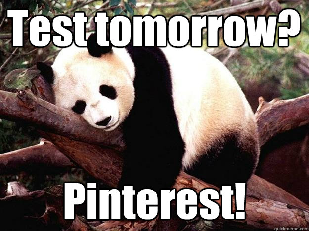 Test tomorrow? Pinterest!  Procrastination Panda