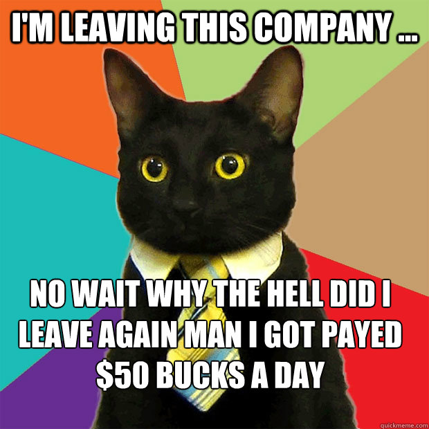 I'm leaving this company ... no wait why the hell did I leave again man I got payed $50 bucks a day  Business Cat