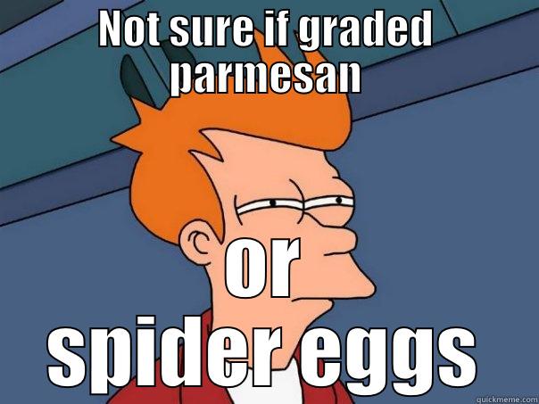 NOT SURE IF GRADED PARMESAN OR SPIDER EGGS Futurama Fry