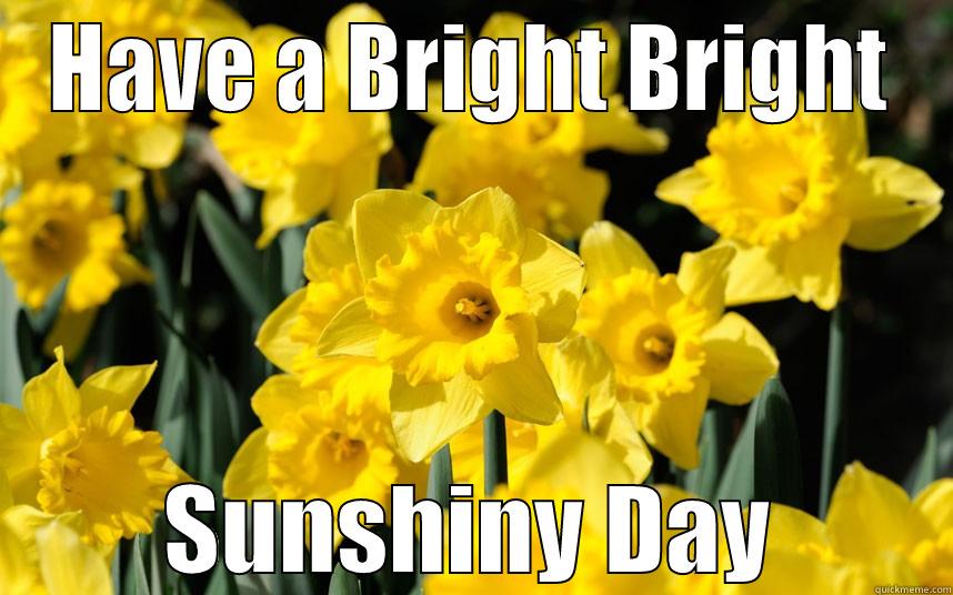 Today and Everyday - HAVE A BRIGHT BRIGHT SUNSHINY DAY Misc