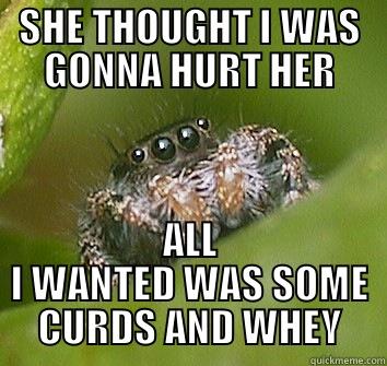 Misunderstood Spider - Quickmeme