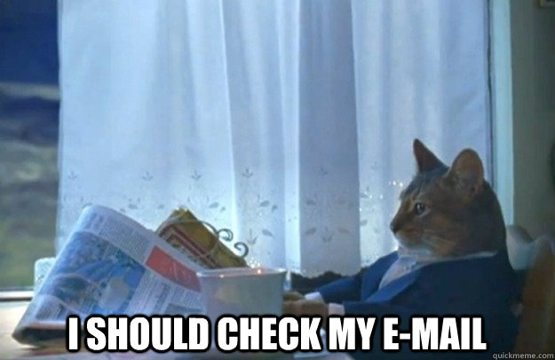  I should check my e-mail  Sophisticated Cat