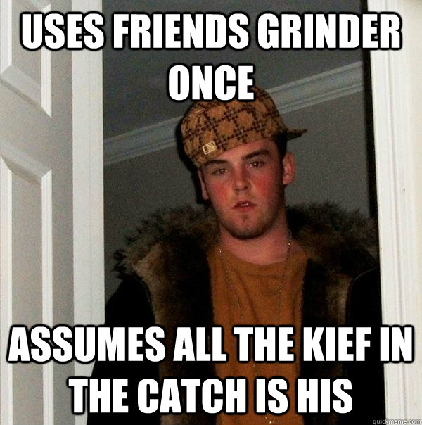 uses friends grinder once assumes all the Kief in the catch is his  Scumbag Steve