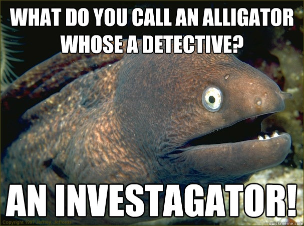 What do you call an alligator whose a detective? an investagator!  Bad Joke Eel