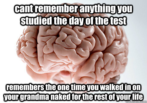 cant remember anything you studied the day of the test remembers the one time you walked in on your grandma naked for the rest of your life   Scumbag Brain