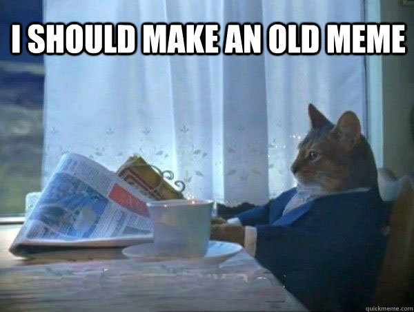 I should make an old meme  - I should make an old meme   morning realization newspaper cat meme