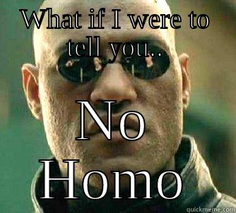 WHAT IF I WERE TO TELL YOU.. NO HOMO Matrix Morpheus