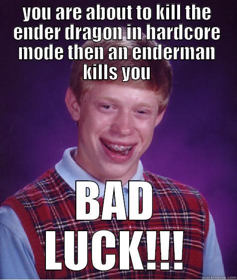 YOU ARE ABOUT TO KILL THE ENDER DRAGON IN HARDCORE MODE THEN AN ENDERMAN KILLS YOU BAD LUCK!!! Bad Luck Brian