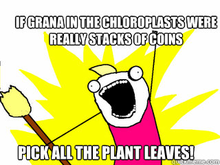 If grana in the chloroplasts were 
really stacks of coins pick all the plant leaves!  All The Things