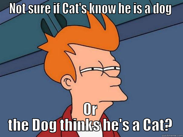 Cat's and Dog - NOT SURE IF CAT'S KNOW HE IS A DOG OR THE DOG THINKS HE'S A CAT? Futurama Fry