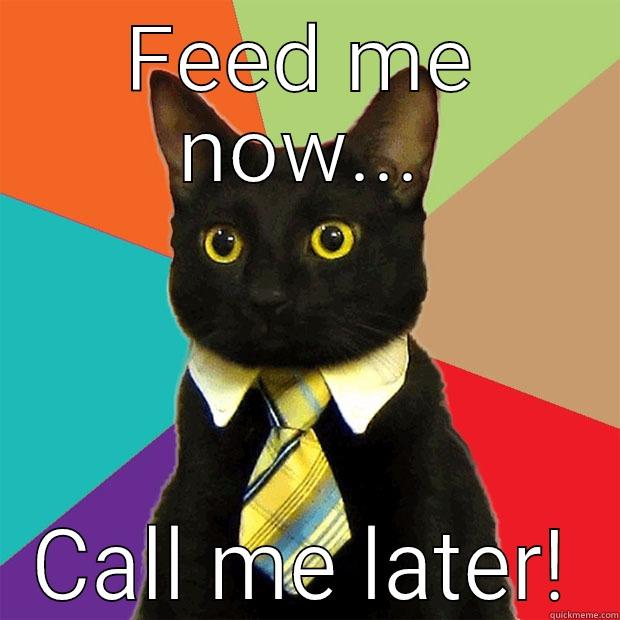 Cat call - FEED ME NOW... CALL ME LATER! Business Cat