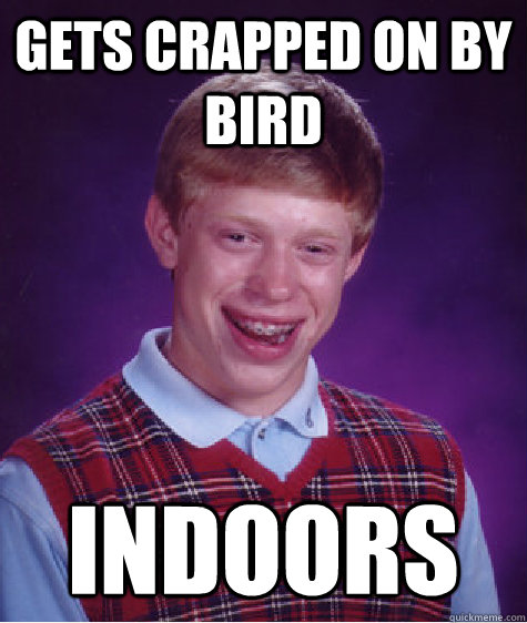 gets crapped on by bird indoors  Bad Luck Brian