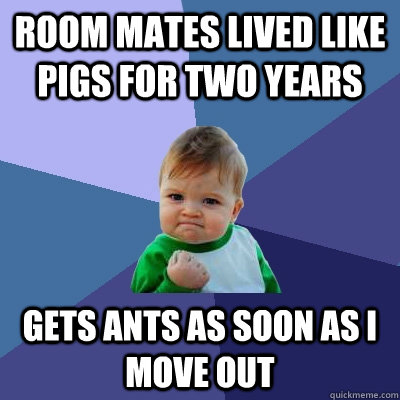 Room mates lived like pigs for two years Gets ants as soon as I move out - Room mates lived like pigs for two years Gets ants as soon as I move out  Success Kid