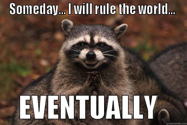 SOMEDAY... I WILL RULE THE WORLD... EVENTUALLY  Evil Plotting Raccoon