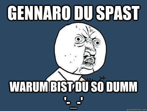 gennaro du spast warum bist du so dumm    '-_-'  Y U No