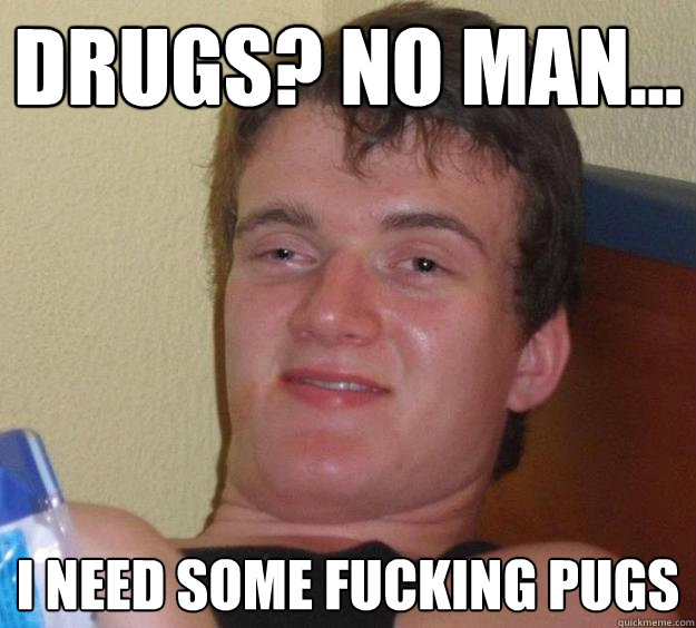 Drugs? No man... I need some fucking PUGs  10 Guy